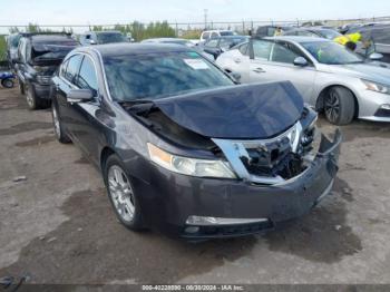  Salvage Acura TL