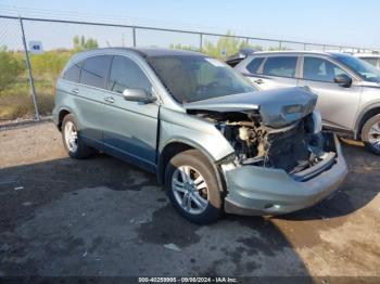  Salvage Honda CR-V