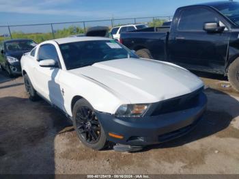  Salvage Ford Mustang