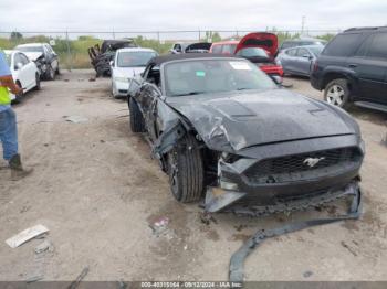  Salvage Ford Mustang