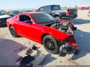  Salvage Ford Mustang