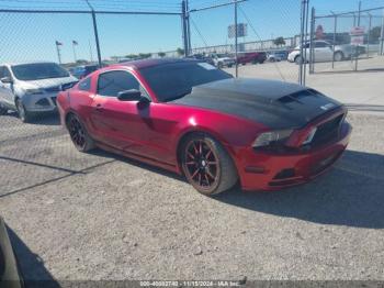  Salvage Ford Mustang