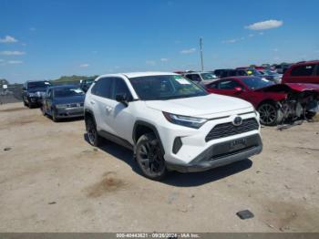  Salvage Toyota RAV4