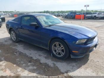  Salvage Ford Mustang