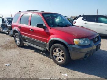  Salvage Ford Escape