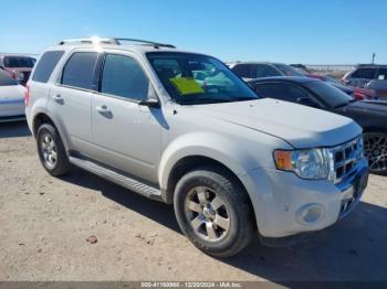  Salvage Ford Escape