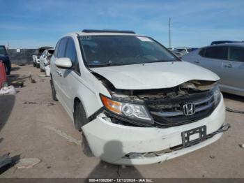  Salvage Honda Odyssey