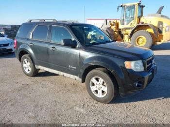  Salvage Ford Escape