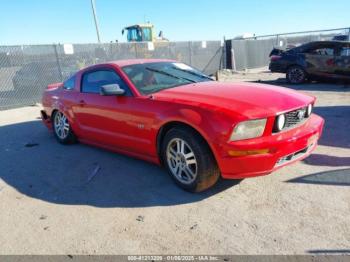  Salvage Ford Mustang