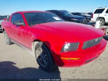  Salvage Ford Mustang