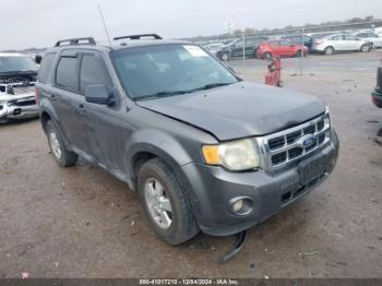  Salvage Ford Escape