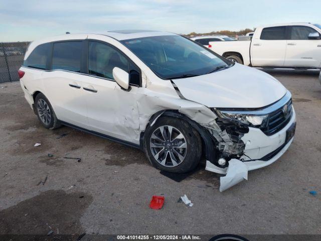  Salvage Honda Odyssey