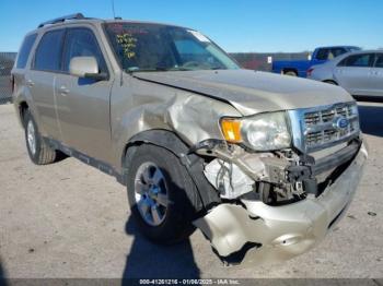  Salvage Ford Escape