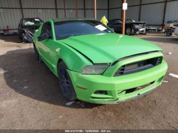  Salvage Ford Mustang