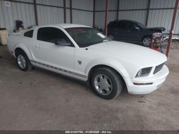  Salvage Ford Mustang