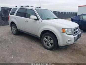  Salvage Ford Escape