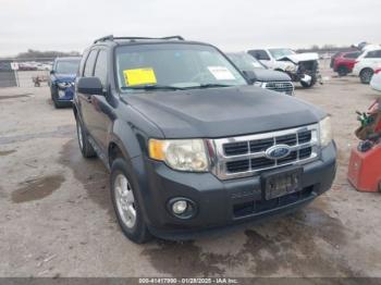  Salvage Ford Escape