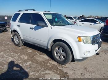  Salvage Ford Escape