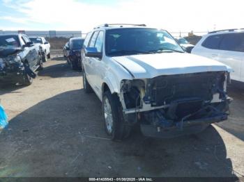  Salvage Ford Expedition