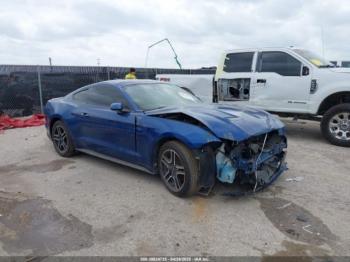  Salvage Ford Mustang