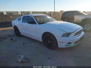  Salvage Ford Mustang