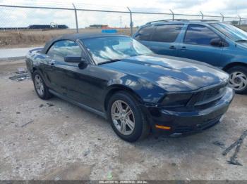  Salvage Ford Mustang