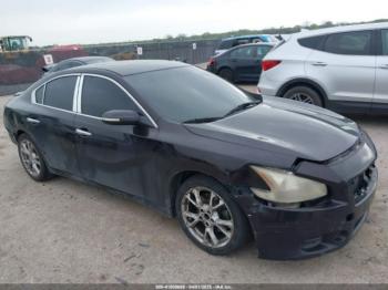  Salvage Nissan Maxima