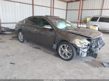  Salvage Nissan Maxima