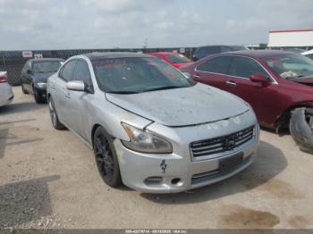  Salvage Nissan Maxima