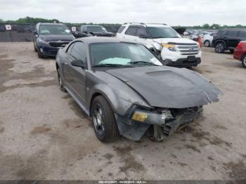  Salvage Ford Mustang