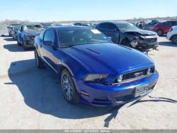  Salvage Ford Mustang