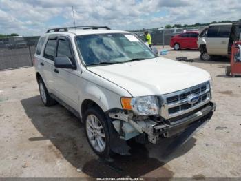  Salvage Ford Escape