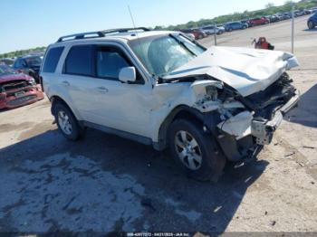  Salvage Ford Escape