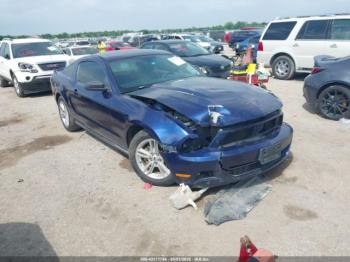  Salvage Ford Mustang