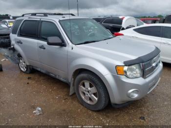  Salvage Ford Escape