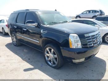  Salvage Cadillac Escalade
