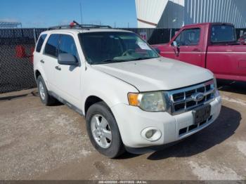  Salvage Ford Escape