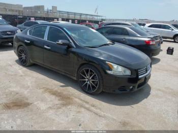  Salvage Nissan Maxima