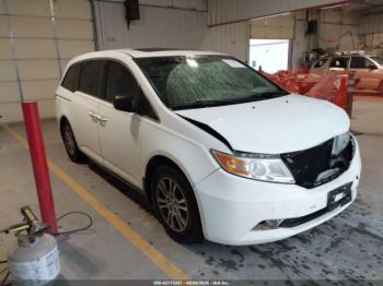  Salvage Honda Odyssey
