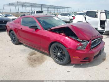  Salvage Ford Mustang