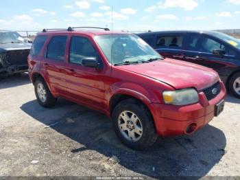  Salvage Ford Escape