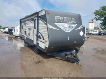  Salvage Palomino Other