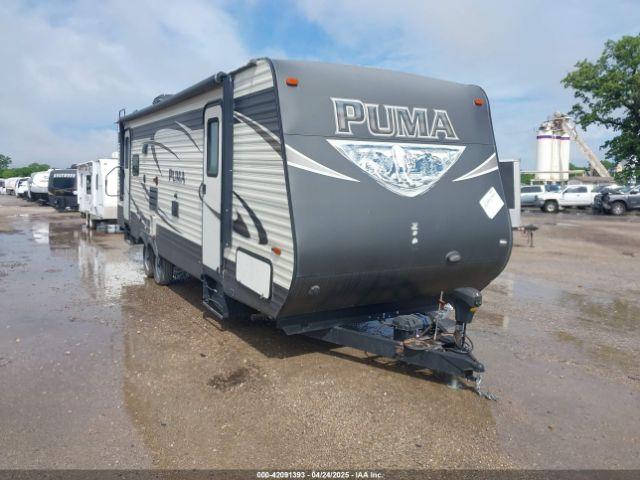  Salvage Palomino Other