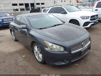  Salvage Nissan Maxima