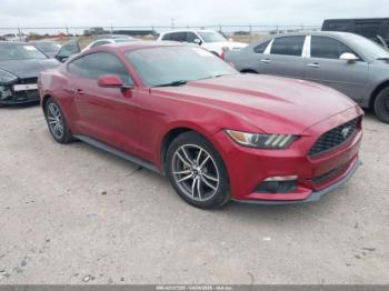  Salvage Ford Mustang