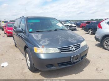  Salvage Honda Odyssey