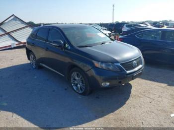 Salvage Lexus RX
