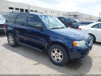  Salvage Ford Escape