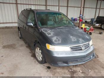  Salvage Honda Odyssey