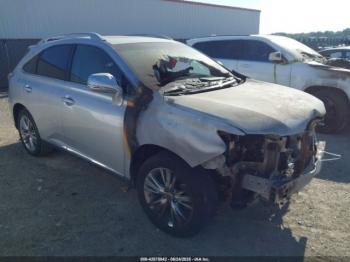  Salvage Lexus RX